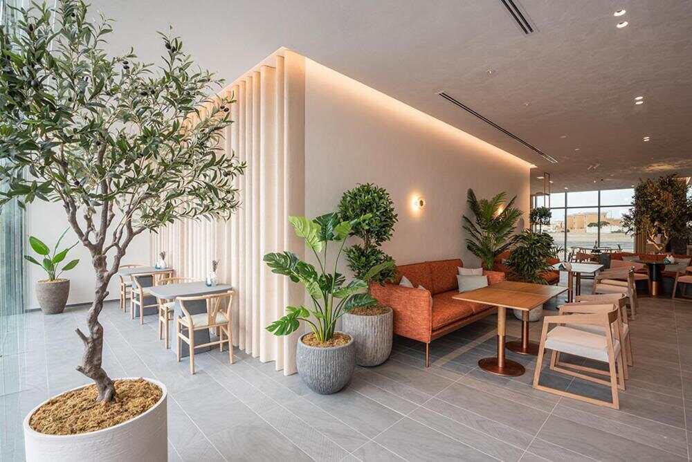 Lobby lounge with olive trees